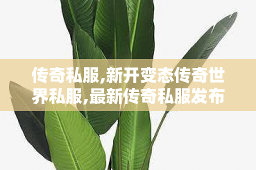 传奇私服,新开变态传奇世界私服,最新传奇私服发布网站,找传世发布网,最新传奇私服发布网站