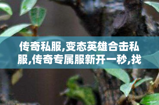 传奇私服,变态英雄合击私服,传奇专属服新开一秒,找传世私服 最新开,传奇专属服新开一秒