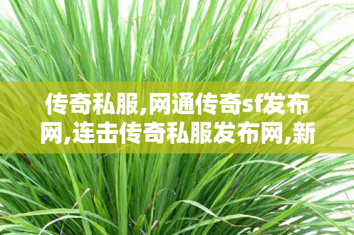 传奇私服,网通传奇sf发布网,连击传奇私服发布网,新开传世私服开服表,连击传奇私服发布网