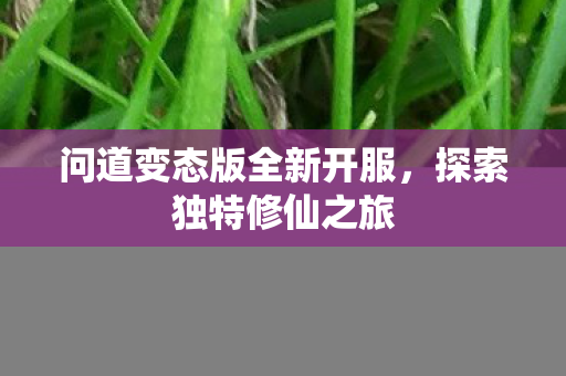 问道变态版全新开服，探索独特修仙之旅