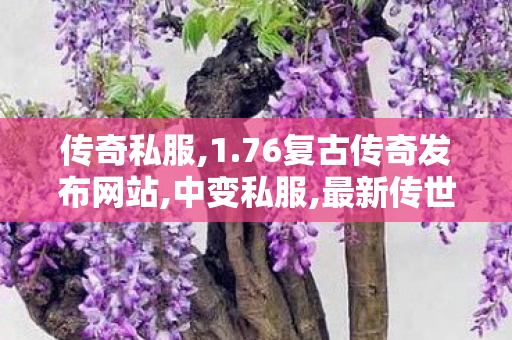 传奇私服,1.76复古传奇发布网站,中变私服,最新传世sf,中变私服