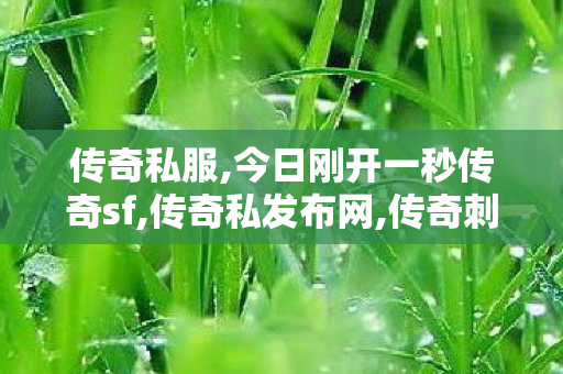 传奇私服,今日刚开一秒传奇sf,传奇私发布网,传奇刺客私服,传奇私发布网
