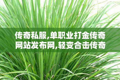 传奇私服,单职业打金传奇网站发布网,轻变合击传奇私服,传奇新开网站服,轻变合击传奇私服
