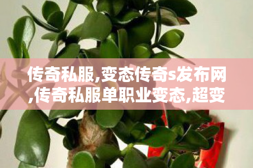传奇私服,变态传奇s发布网,传奇私服单职业变态,超变,传奇私服单职业变态