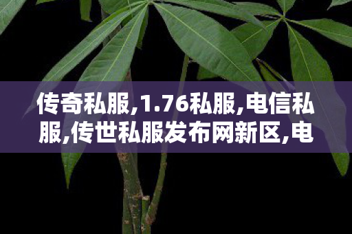 传奇私服,1.76私服,电信私服,传世私服发布网新区,电信私服