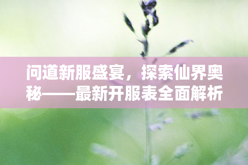 问道新服盛宴，探索仙界奥秘——最新开服表全面解析