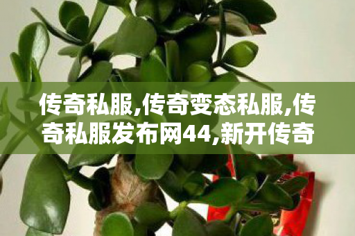 传奇私服,传奇变态私服,传奇私服发布网44,新开传奇私服发布网站,传奇私服发布网44