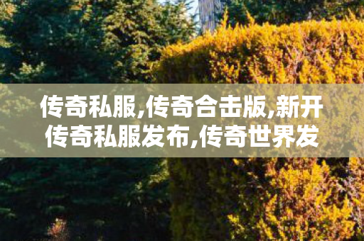 传奇私服,传奇合击版,新开传奇私服发布,传奇世界发布网站,新开传奇私服发布