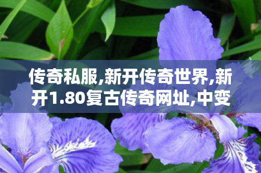 传奇私服,新开传奇世界,新开1.80复古传奇网址,中变传世,新开1.80复古传奇网址