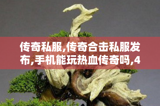 传奇私服,传奇合击私服发布,手机能玩热血传奇吗,45woool传奇世界网站手机版,手机能玩热血传奇吗