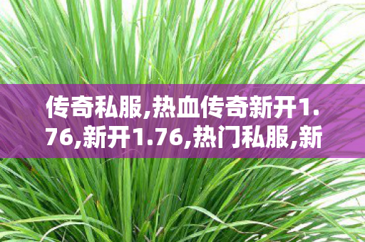 传奇私服,热血传奇新开1.76,新开1.76,热门私服,新开1.76