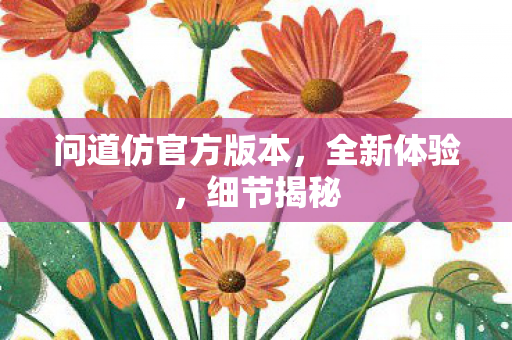 问道仿官方版本，全新体验，细节揭秘