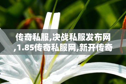 传奇私服,决战私服发布网,1.85传奇私服网,新开传奇世界私服发布,1.85传奇私服网