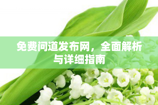 免费问道发布网，全面解析与详细指南