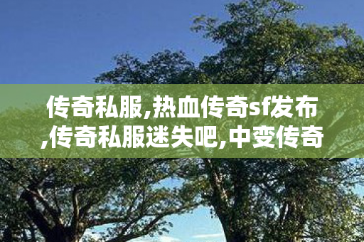 传奇私服,热血传奇sf发布,传奇私服迷失吧,中变传奇似发服网,传奇私服迷失吧