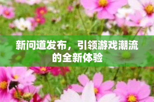 新问道发布，引领游戏潮流的全新体验