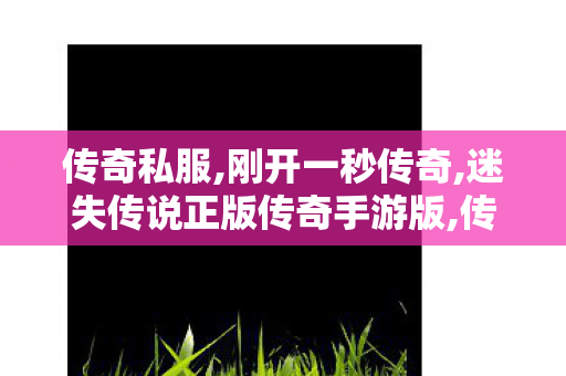 传奇私服,刚开一秒传奇,迷失传说正版传奇手游版,传奇世界sf发布网站,迷失传说正版传奇手游版