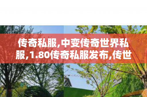传奇私服,中变传奇世界私服,1.80传奇私服发布,传世新服网发布网,1.80传奇私服发布
