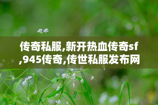 传奇私服,新开热血传奇sf,945传奇,传世私服发布网站大全,945传奇
