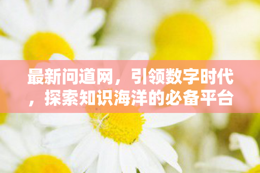 最新问道网，引领数字时代，探索知识海洋的必备平台