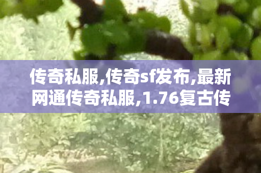 传奇私服,传奇sf发布,最新网通传奇私服,1.76复古传奇私服,最新网通传奇私服