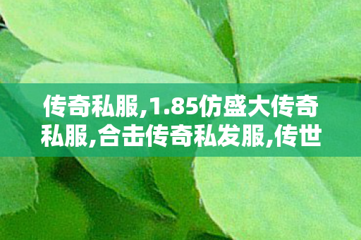传奇私服,1.85仿盛大传奇私服,合击传奇私发服,传世手游新开服网站0,合击传奇私发服
