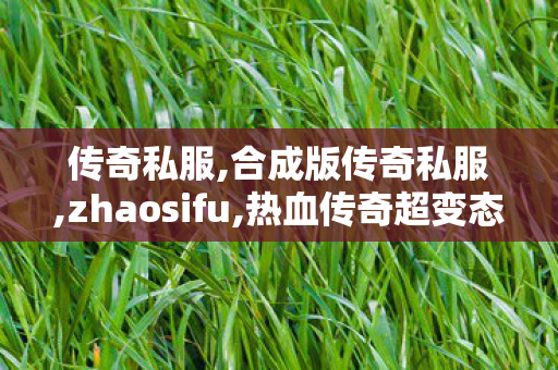 传奇私服,合成版传奇私服,zhaosifu,热血传奇超变态私服,zhaosifu