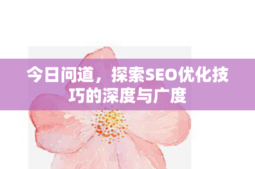 今日问道，探索SEO优化技巧的深度与广度