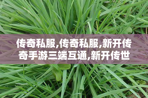 传奇私服,传奇私服,新开传奇手游三端互通,新开传世sf网站,新开传奇手游三端互通