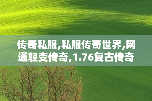 传奇私服,私服传奇世界,网通轻变传奇,1.76复古传奇发布网站,网通轻变传奇
