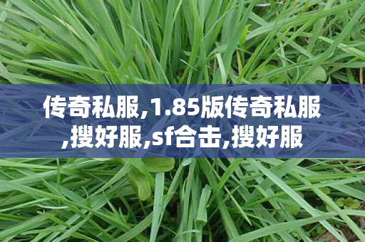 传奇私服,1.85版传奇私服,搜好服,sf合击,搜好服