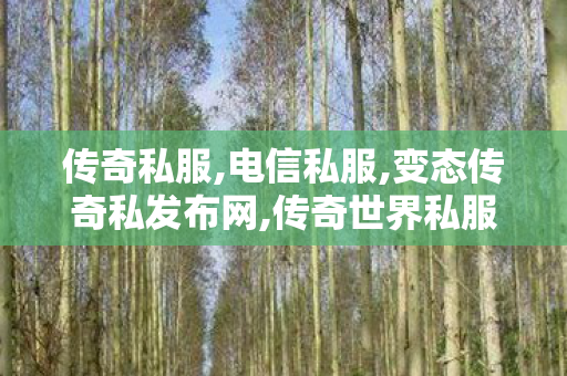 传奇私服,电信私服,变态传奇私发布网,传奇世界私服发布网站,变态传奇私发布网
