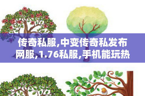 传奇私服,中变传奇私发布网服,1.76私服,手机能玩热血传奇吗,1.76私服