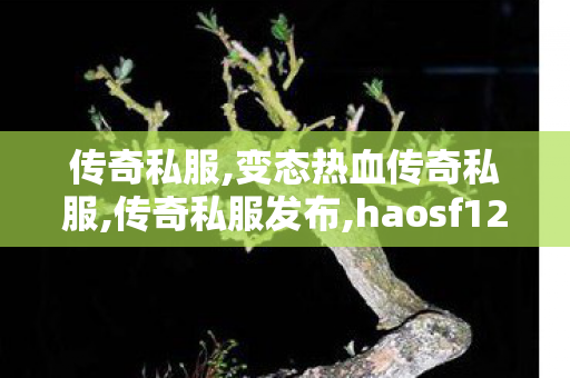 传奇私服,变态热血传奇私服,传奇私服发布,haosf123,传奇私服发布