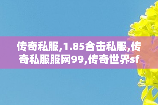 传奇私服,1.85合击私服,传奇私服服网99,传奇世界sf发布网站,传奇私服服网99