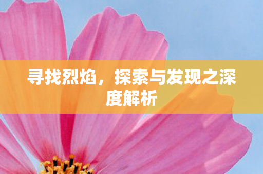 寻找烈焰，探索与发现之深度解析