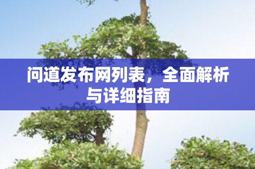 问道发布网列表，全面解析与详细指南