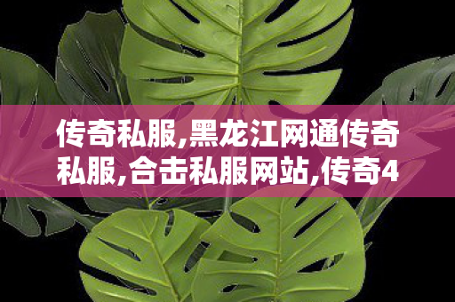 传奇私服,黑龙江网通传奇私服,合击私服网站,传奇4f,合击私服网站