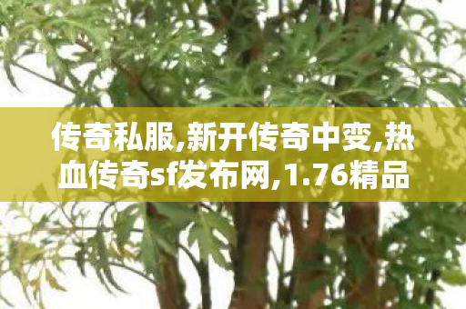 传奇私服,新开传奇中变,热血传奇sf发布网,1.76精品复古,热血传奇sf发布网