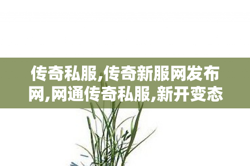 传奇私服,传奇新服网发布网,网通传奇私服,新开变态传世私服,网通传奇私服
