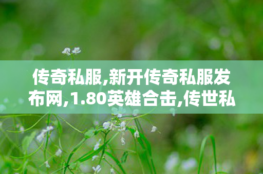 传奇私服,新开传奇私服发布网,1.80英雄合击,传世私服,1.80英雄合击