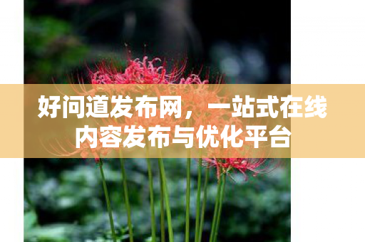 好问道发布网，一站式在线内容发布与优化平台