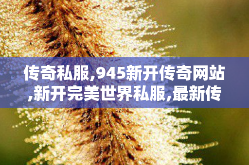 传奇私服,945新开传奇网站,新开完美世界私服,最新传世sf,新开完美世界私服