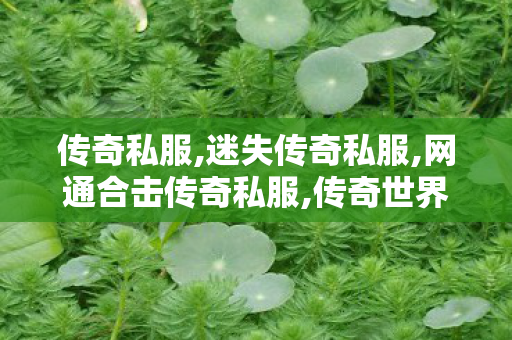 传奇私服,迷失传奇私服,网通合击传奇私服,传奇世界私服发布网,网通合击传奇私服