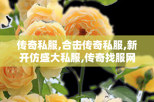 传奇私服,合击传奇私服,新开仿盛大私服,传奇找服网,新开仿盛大私服