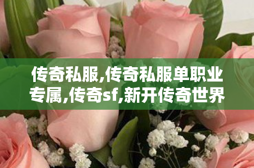 传奇私服,传奇私服单职业专属,传奇sf,新开传奇世界私服传世,传奇sf