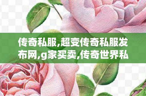 传奇私服,超变传奇私服发布网,g家买卖,传奇世界私服开服,g家买卖