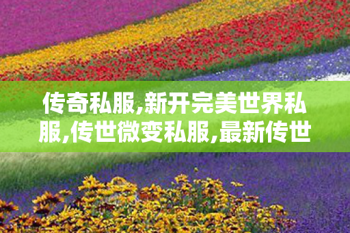 传奇私服,新开完美世界私服,传世微变私服,最新传世,传世微变私服