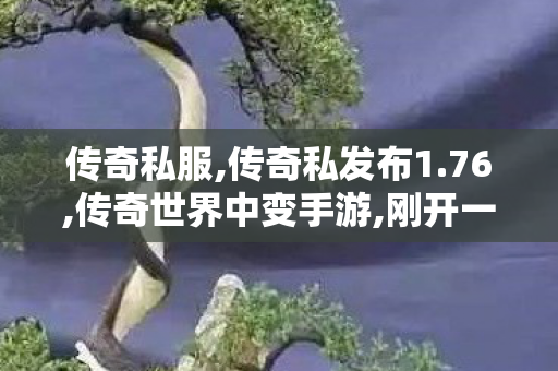 传奇私服,传奇私发布1.76,传奇世界中变手游,刚开一秒中变传奇发布网,传奇世界中变手游
