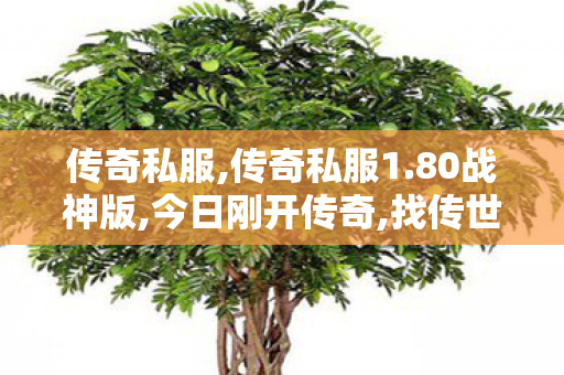 传奇私服,传奇私服1.80战神版,今日刚开传奇,找传世发布网,今日刚开传奇
